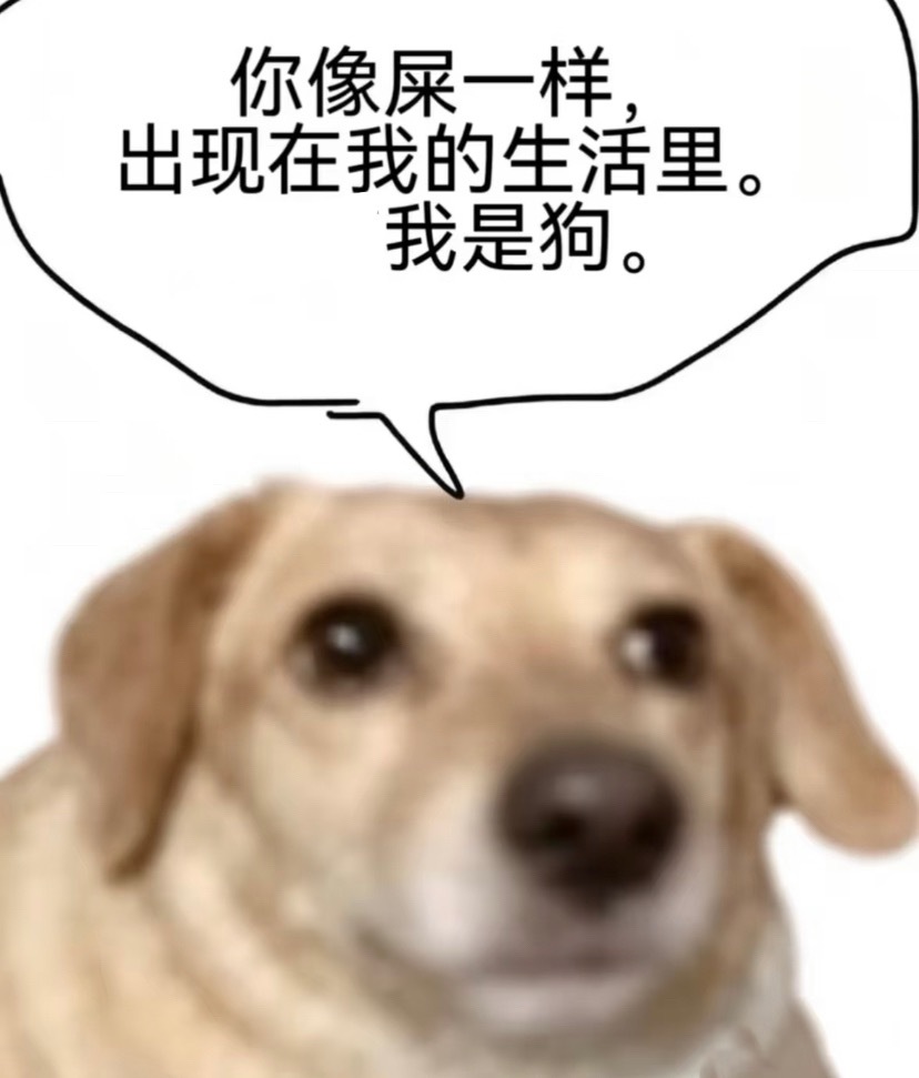 我和老恋的关系blackpink： 