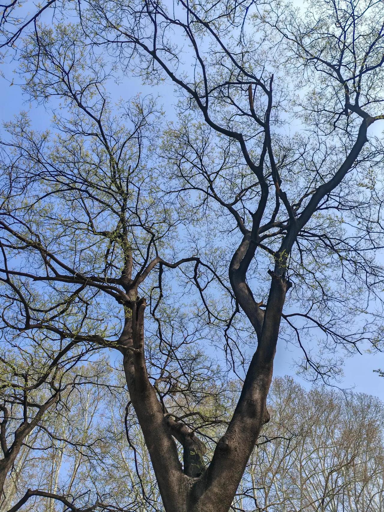 自然之美摄影日记 在自己的时光里我的摄影日记植物摄影的治愈瞬间 静物摄影治愈瞬间