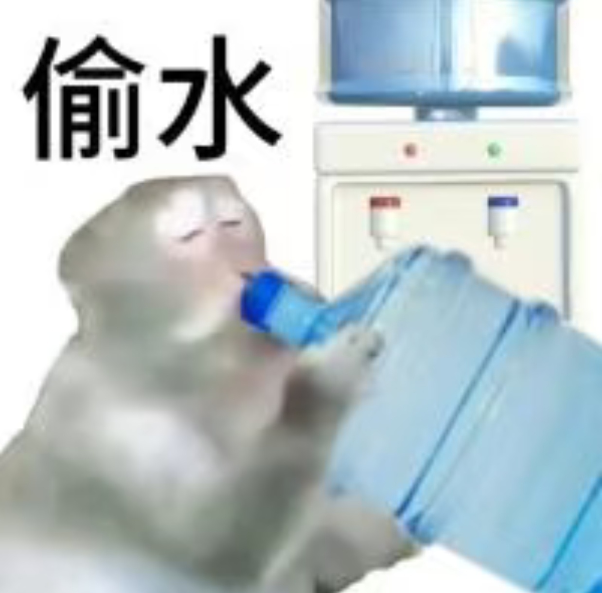 火鸡面被台风孤立了火鸡面你让我笑的肚子疼 毕竟谁也不想在最缺水的时候到处找水喝。