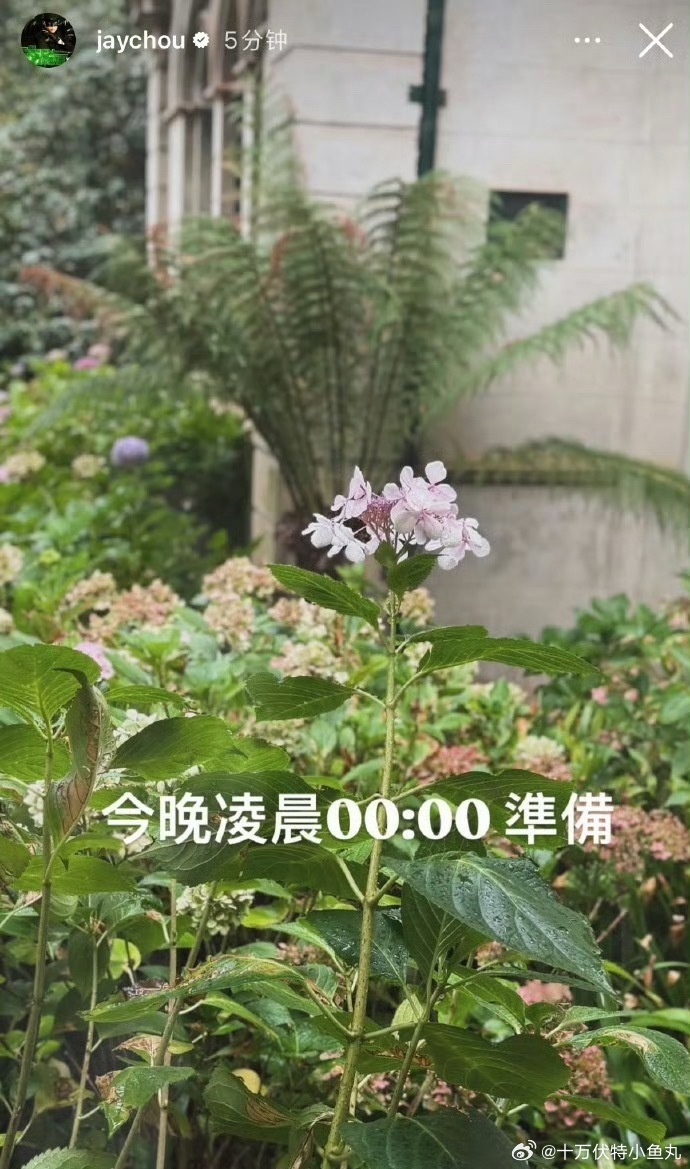 周杰伦说今晚0点准备 有点不太相信发布新专 有可能是一两首前奏又或者预告让大家解