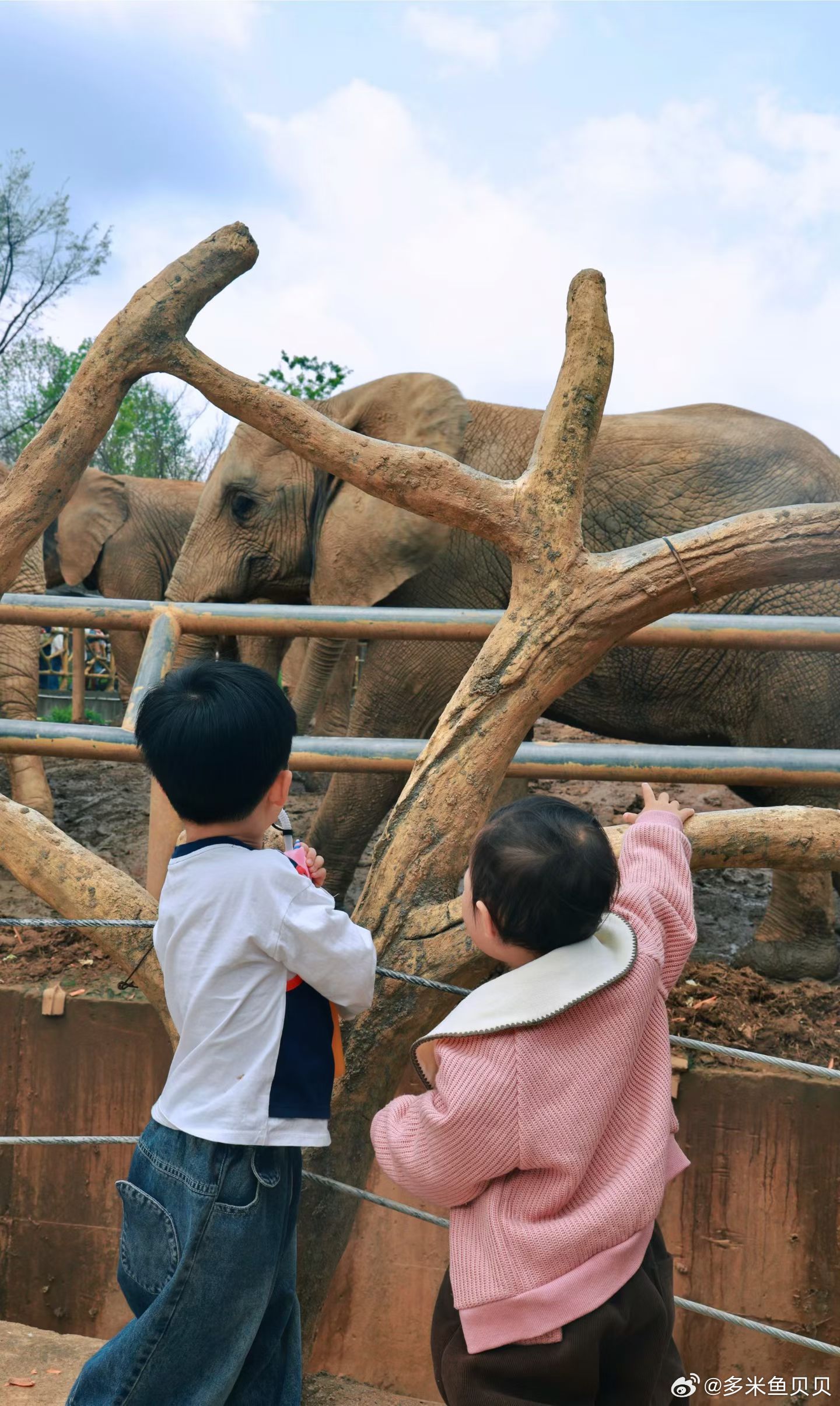 清明踏青·动物园限定快乐小朋友负责好奇尖叫，我负责拍照记录📸 