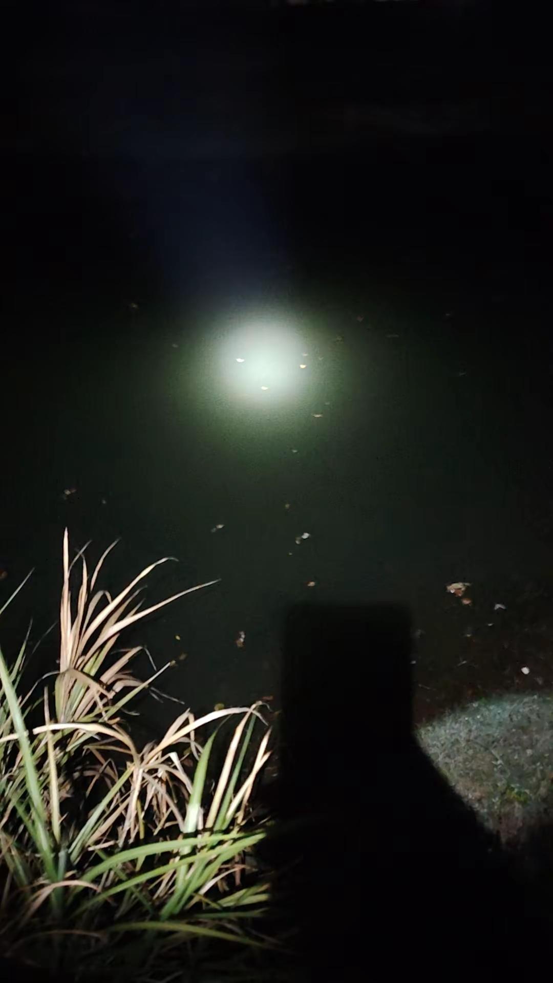 漂亮！！也对得起鸡啼半夜