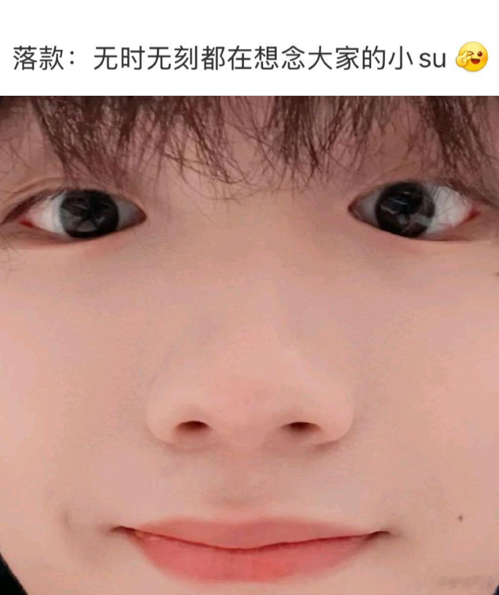 全世界最直球的小狗呀 
