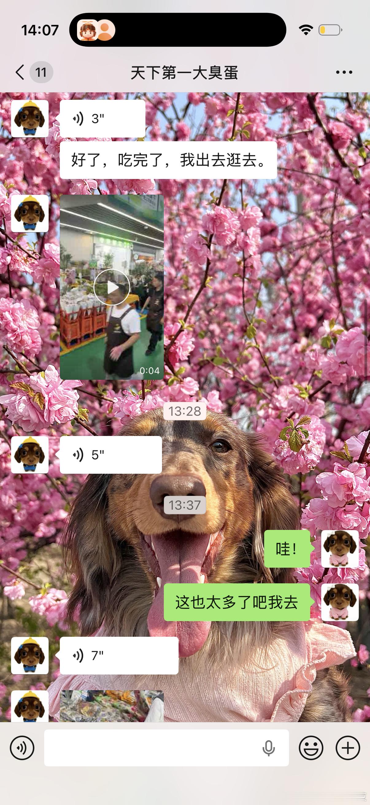 因为我喜欢花 程哥在云南集训超级累 周末好不容易休息半天 就自己主动提出要去斗南