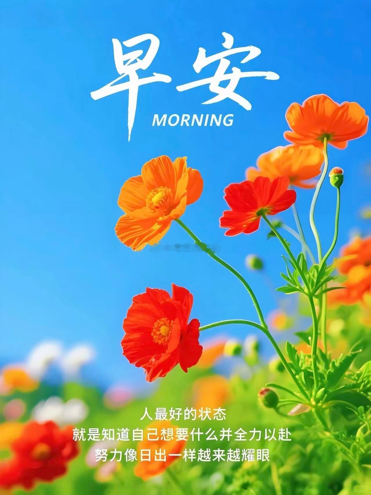 【周四，早安】愿你晨起有微笑，笑里有幸福； 愿你早晨有问候，问候中有祝愿； 愿你
