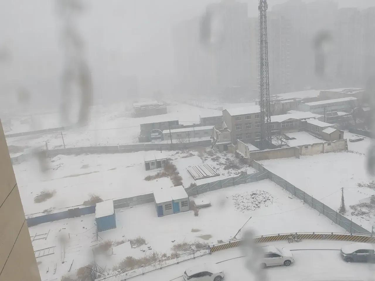 2025年3月2日，济南迎来了一场罕见的大雪天气。
受强冷空气和气旋共同影响，济