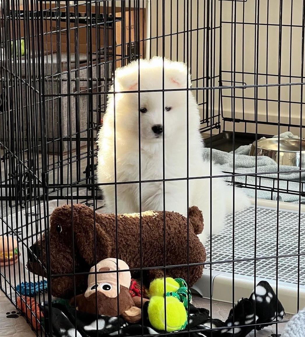 妈妈今天没有跟我说早安... 