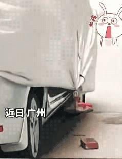 这是聪明反被聪明误！
台风将至，车主怕车衣被风吹走，特意在车衣下方绑砖块以增加重