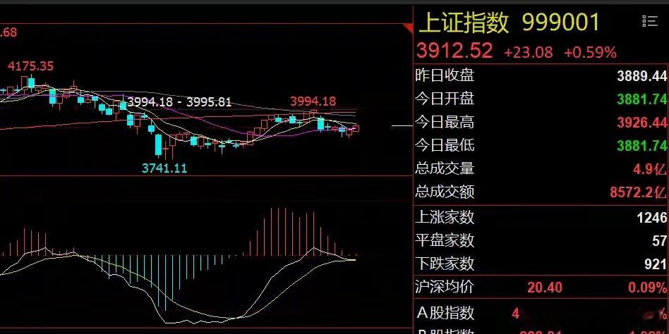 英伟达业绩超预期！格力电器业绩承压 ​​​