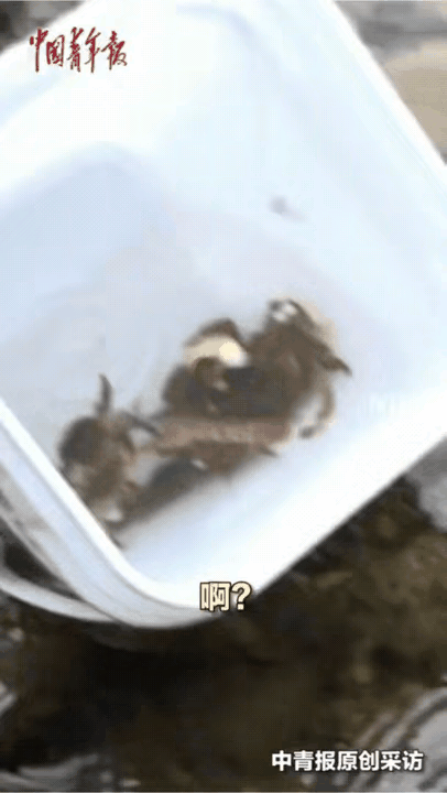 女子用一根草钓上十几条鱼，男友看傻眼：科学都解释不清了！

你有没有想过，钓鱼这