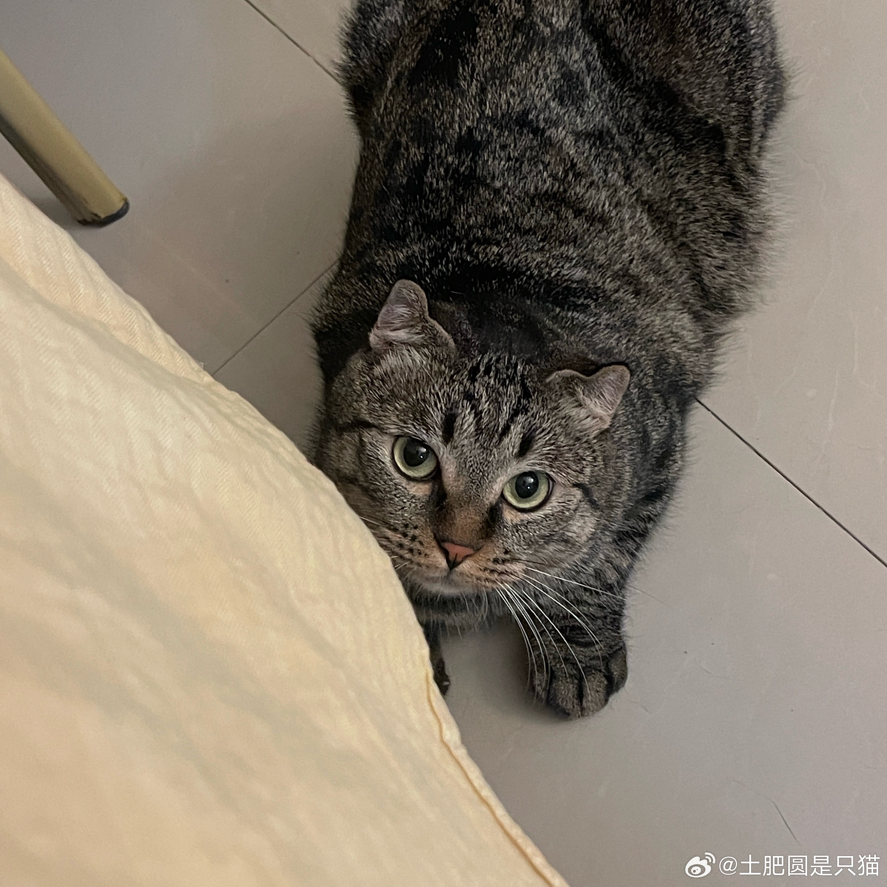 入夏之后我还没开过空调 什么水平 其实我今早醒来也出了一脑瓜子汗 但我就没想到过