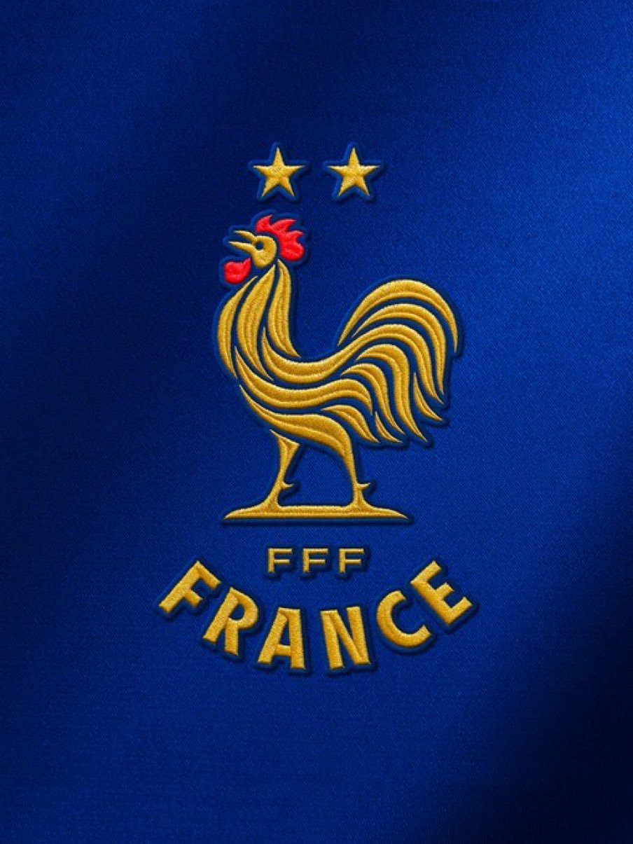 🇫🇷法国足协新logo🐓💙 