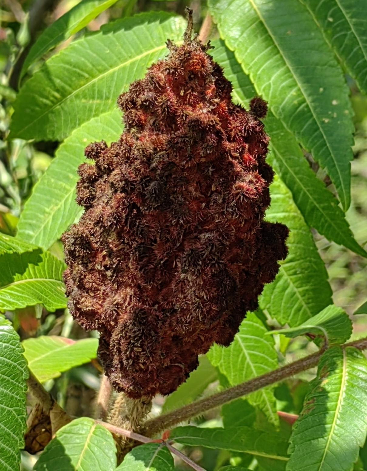 退休后普通同事以不见面最好，偶尔碰到了另说，打个招呼就走，没有必要叙旧太久。
即