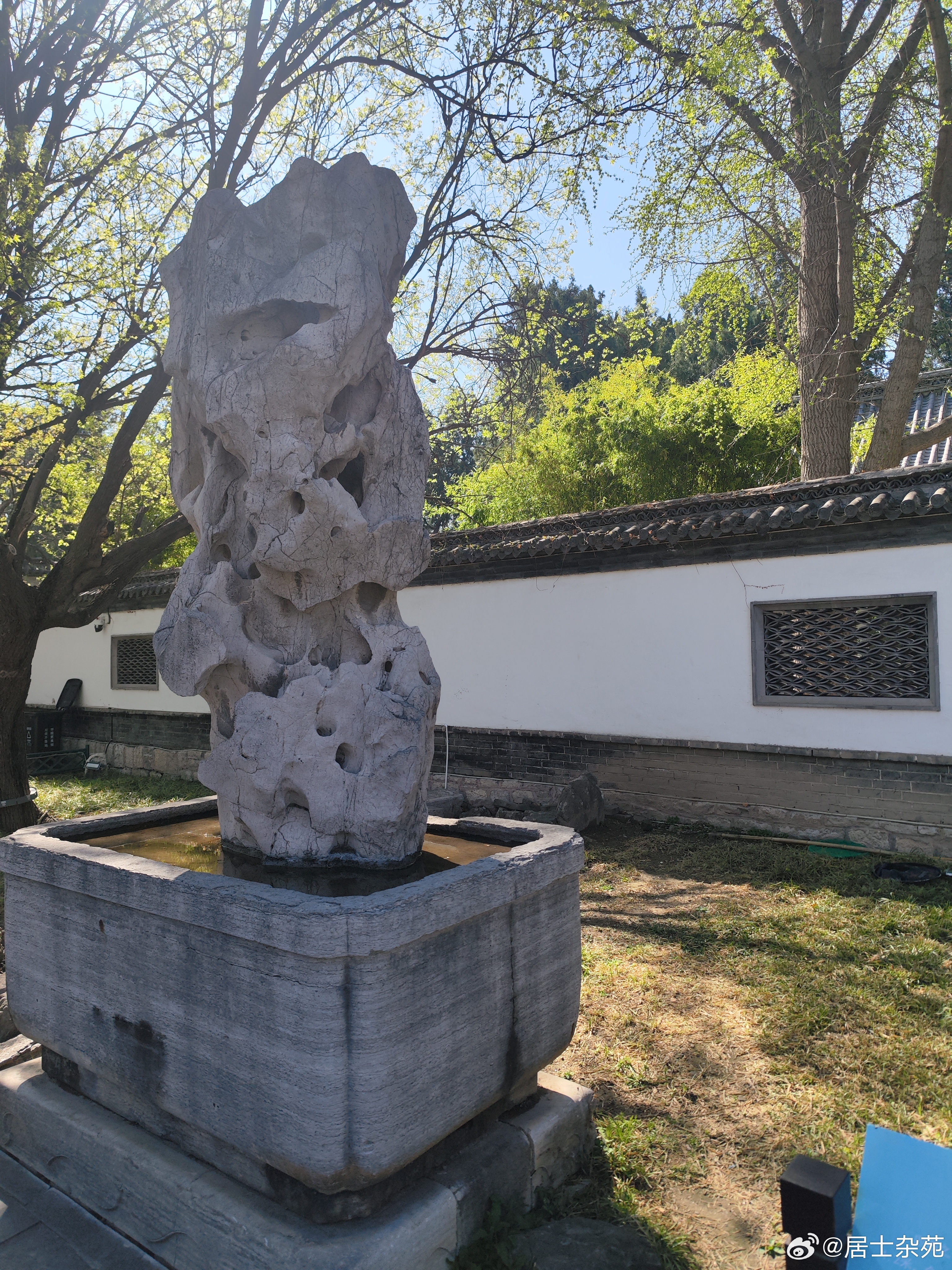 又见“福”、“寿”、“康”、“宁”走进青州古城偶园，来到偶园深处，在牡丹园旁，由