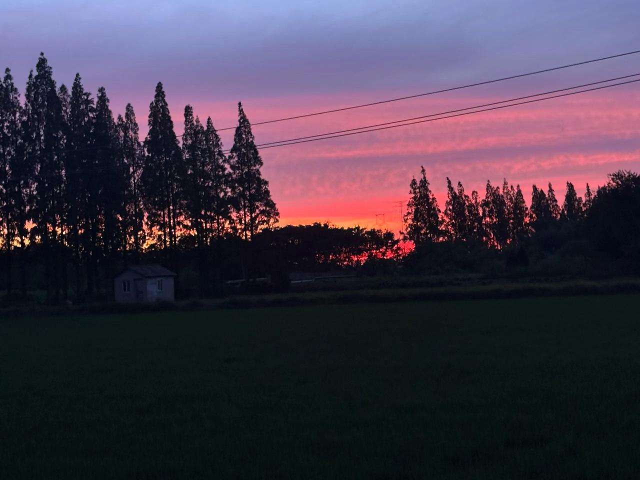 晨光破晓，霞光万丈，嘉兴的夏日，在朝霞的映照下，苏醒得格外温柔。