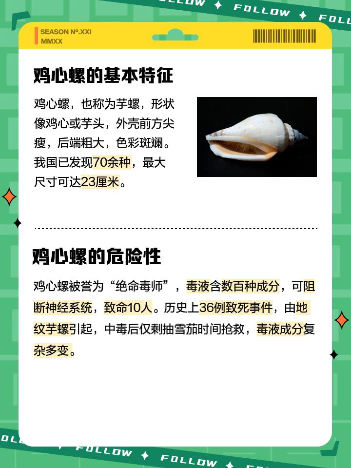 海外博主拍美照徒手捡起艳丽海螺，放生后查资料吓懵！竟碰了