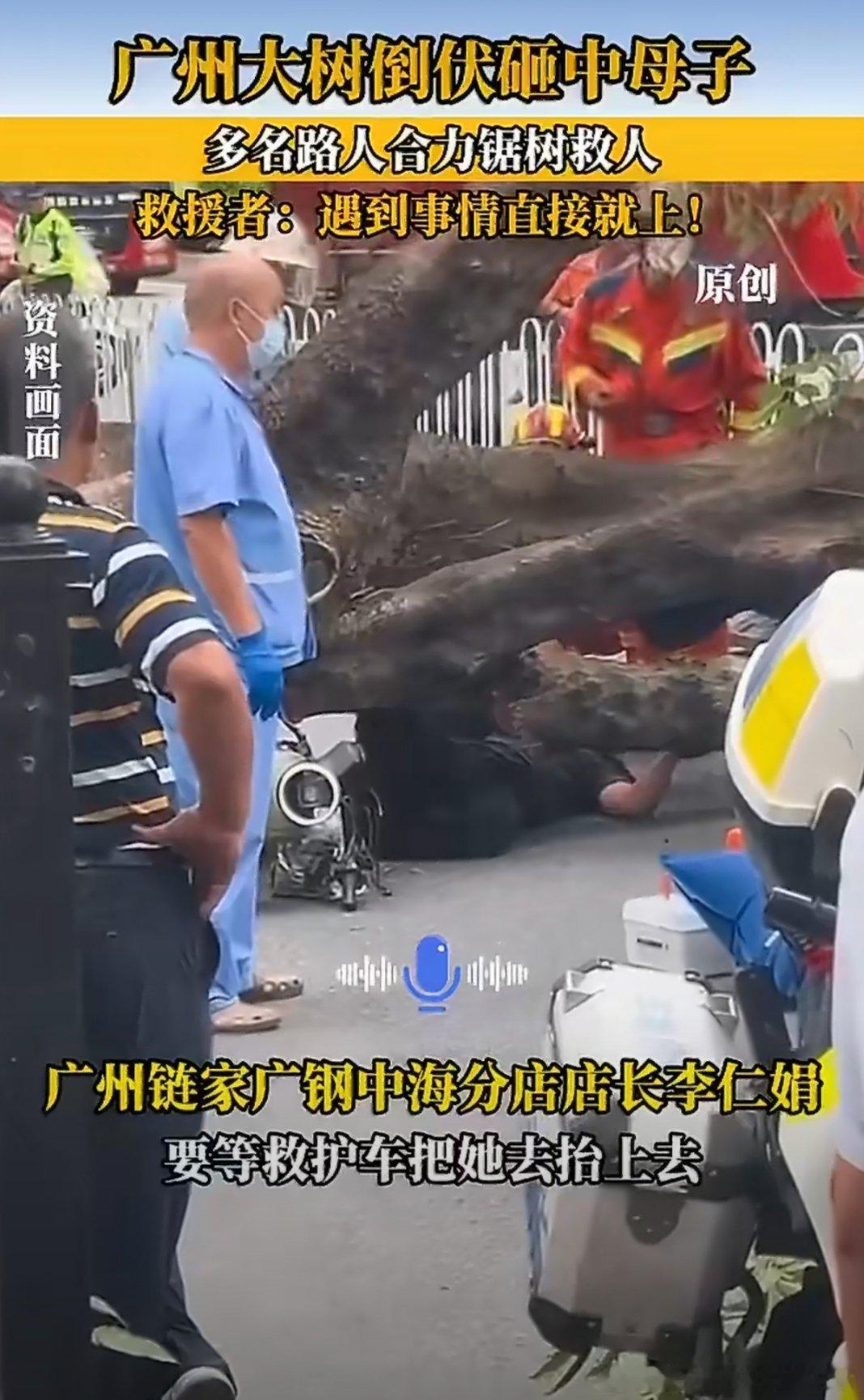 广州一大树倒伏砸中母子太让人揪心！行走在路上，谁也想不到会遭遇树木倒伏的意外。母