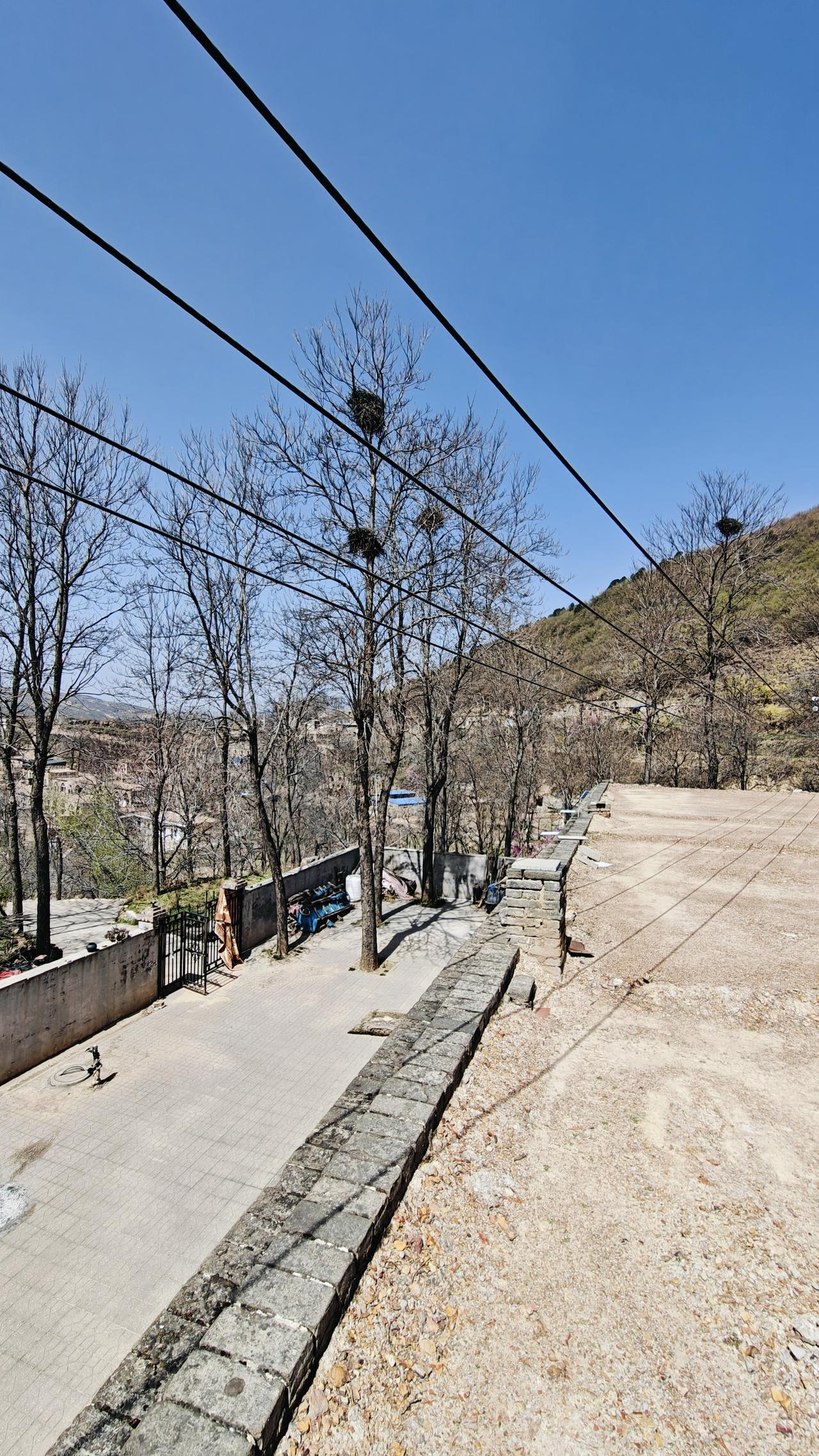 手机摄影 手机摄影圈