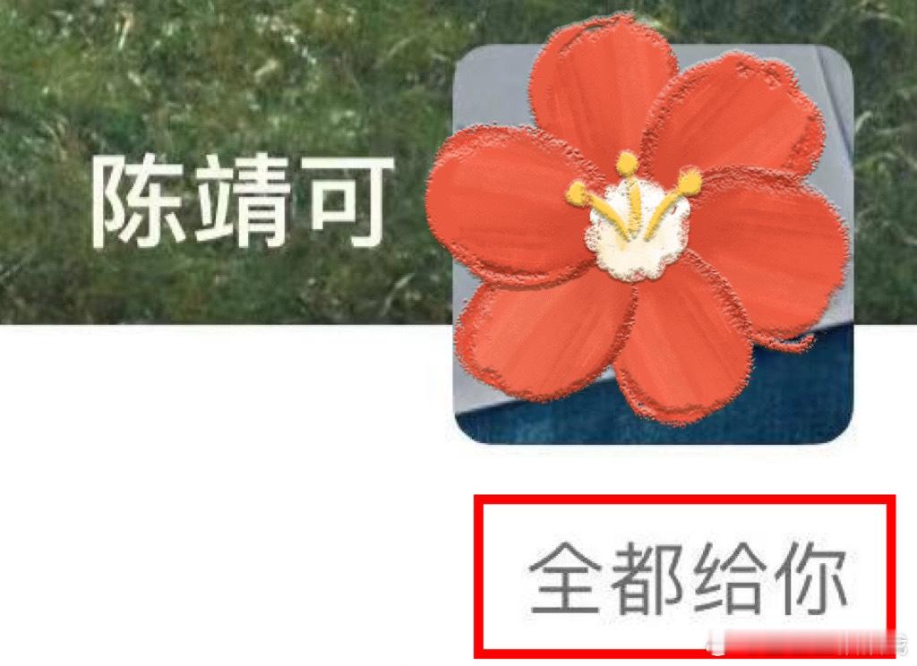 除了被拍到同居之外，这对cp的宣传之路真的好像剧方或个人在努力炒作啊，每天大名上