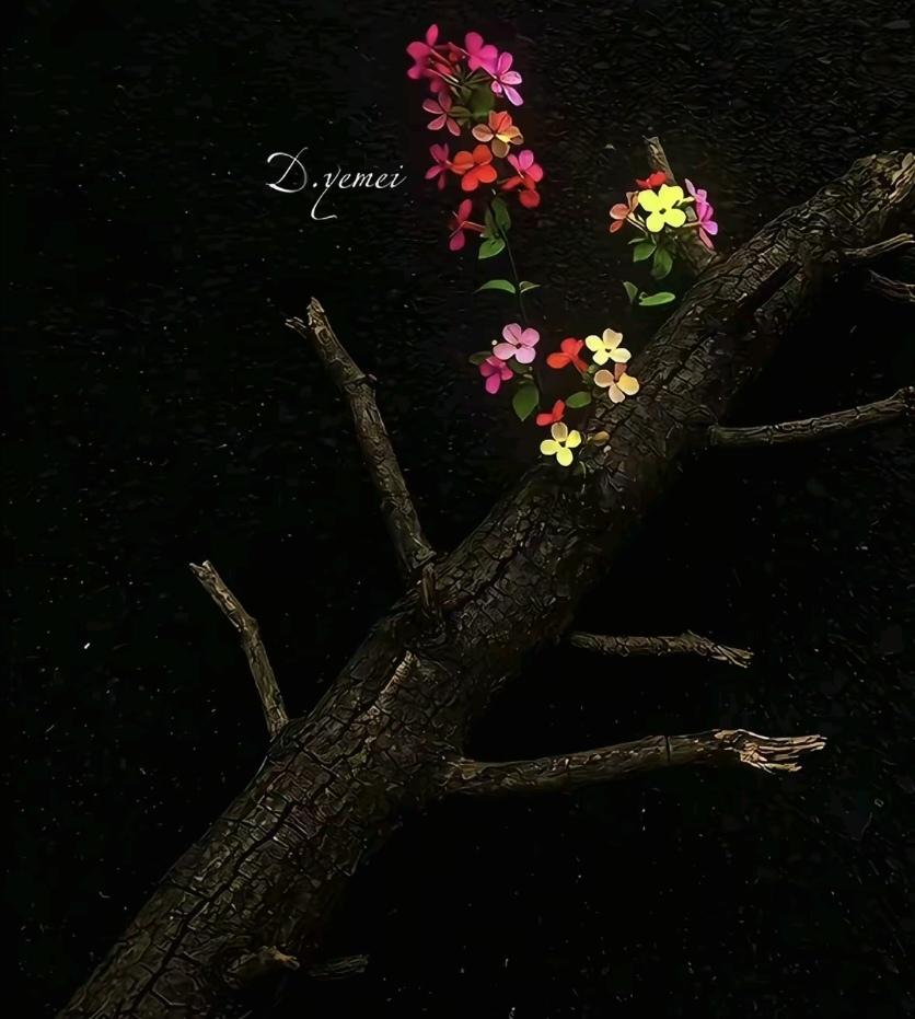 所有的关系，
都会像泡沫一样，
一瞬间消失，
消失就消失了，
没有回来的可能。