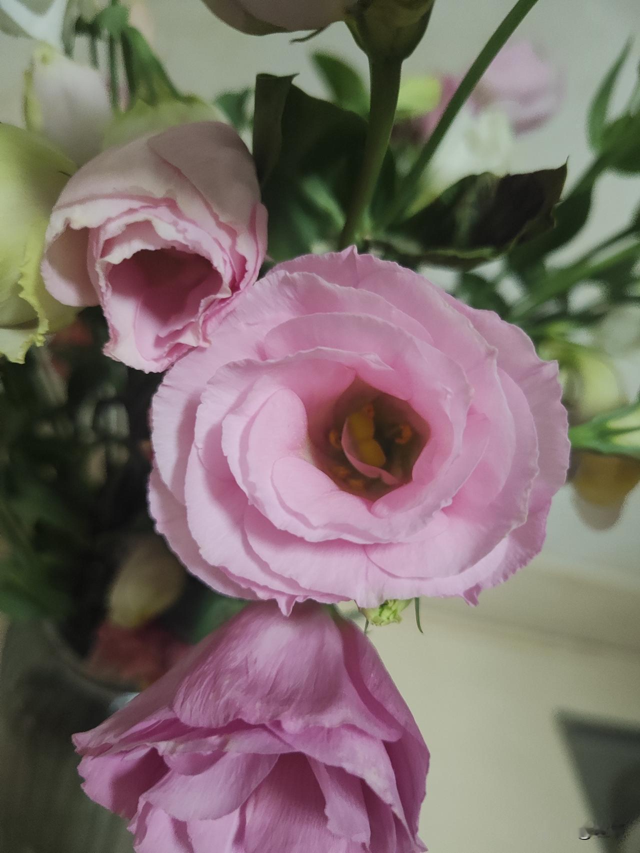 云想衣裳花想容，春风拂槛露华浓