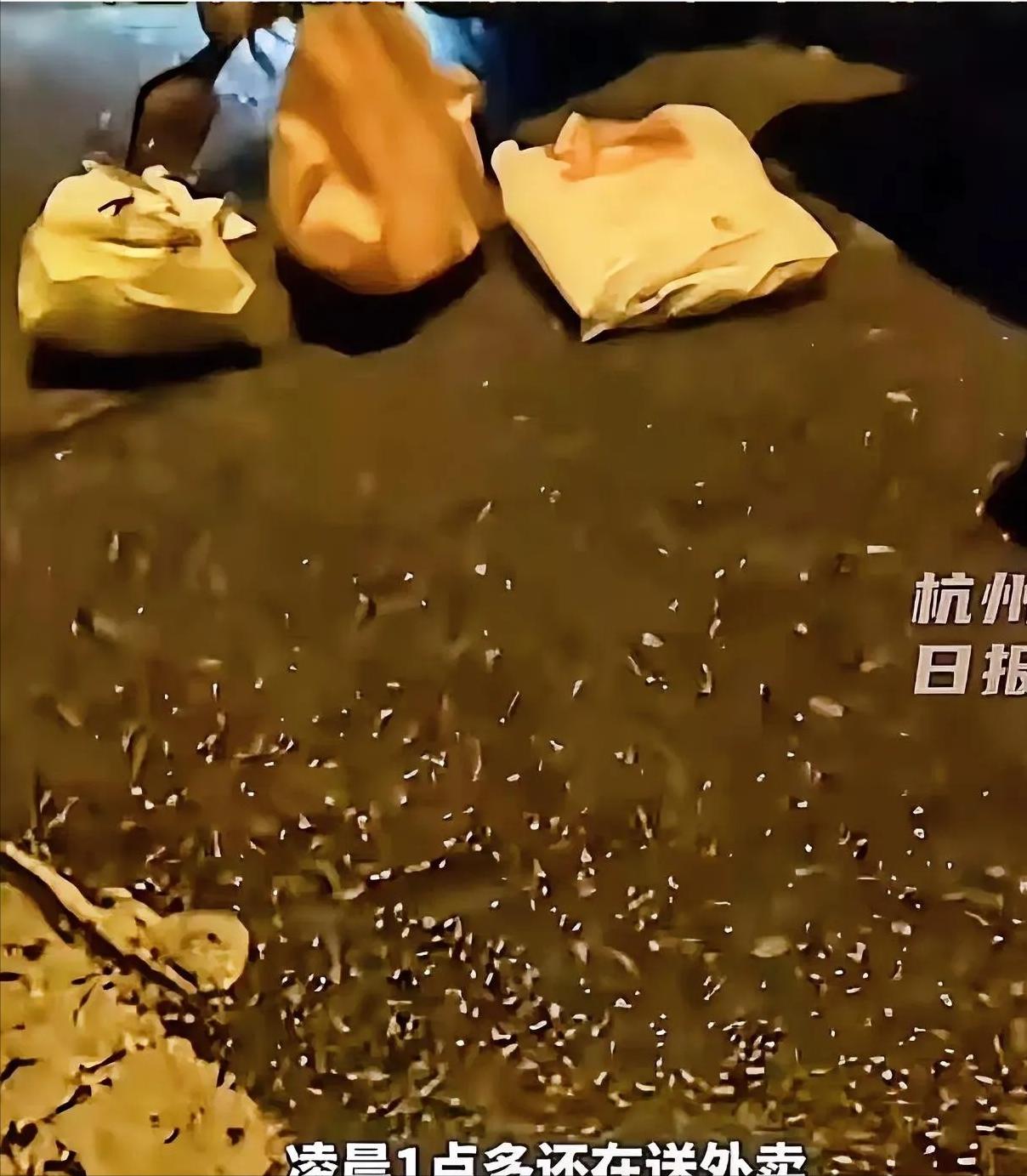 “人究竟可以善良到什么程度？”浙江杭州，外卖小哥凌晨追尾一辆汽车，恳求车主：“能