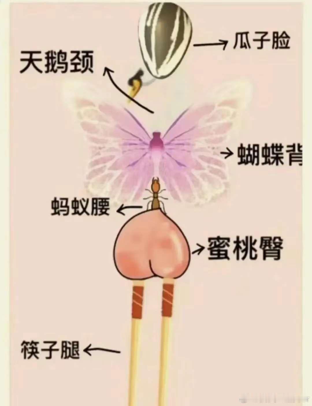 这凑在一起也不好看呀 ​​​