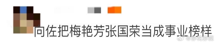 向佐把梅艳芳张国荣当成事业榜样 理想很丰满，现实很骨感，向佐咱要不先定个能实现的