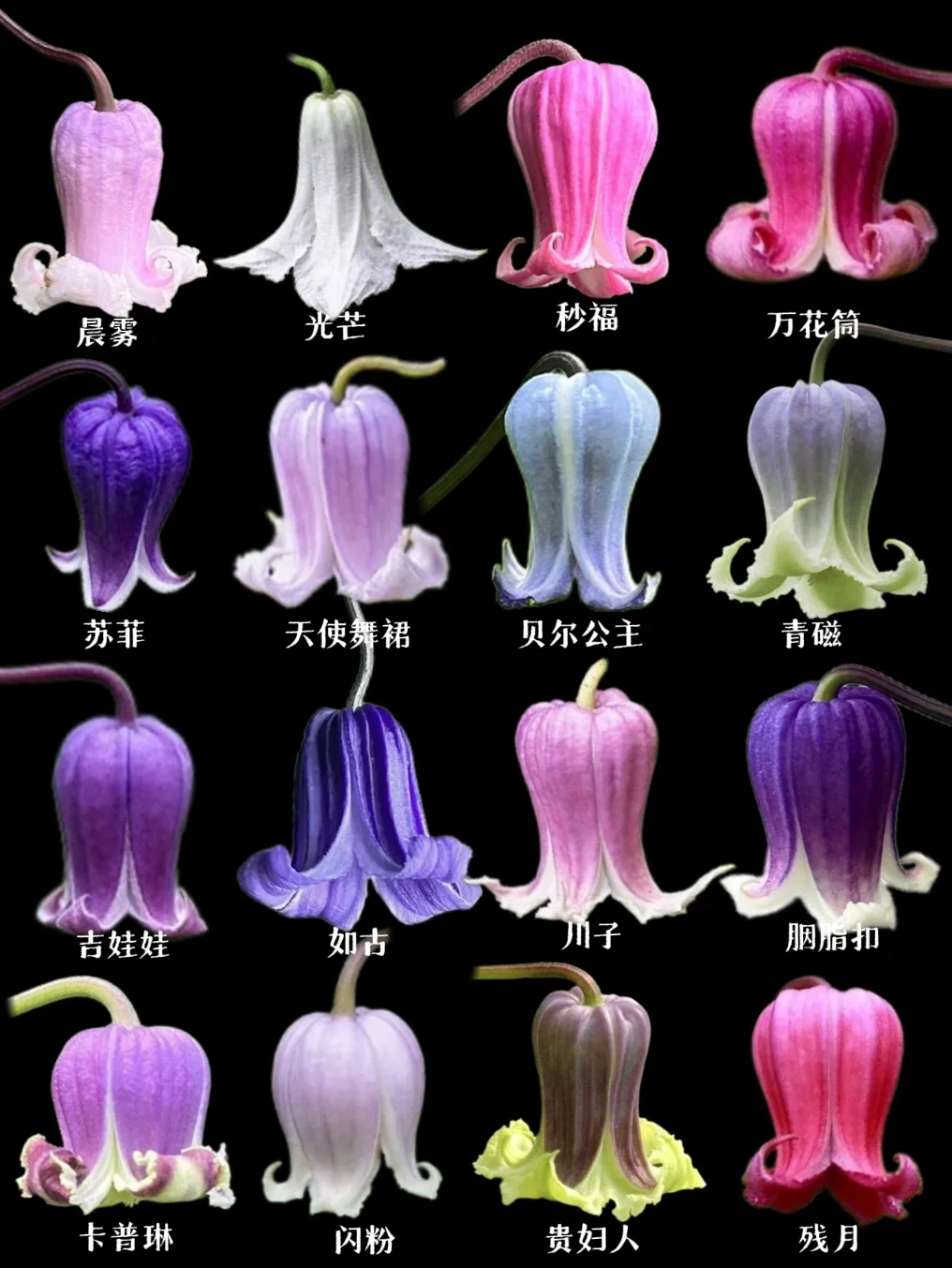 【铁铃铛】“叮叮当当”铁铃铛，超美