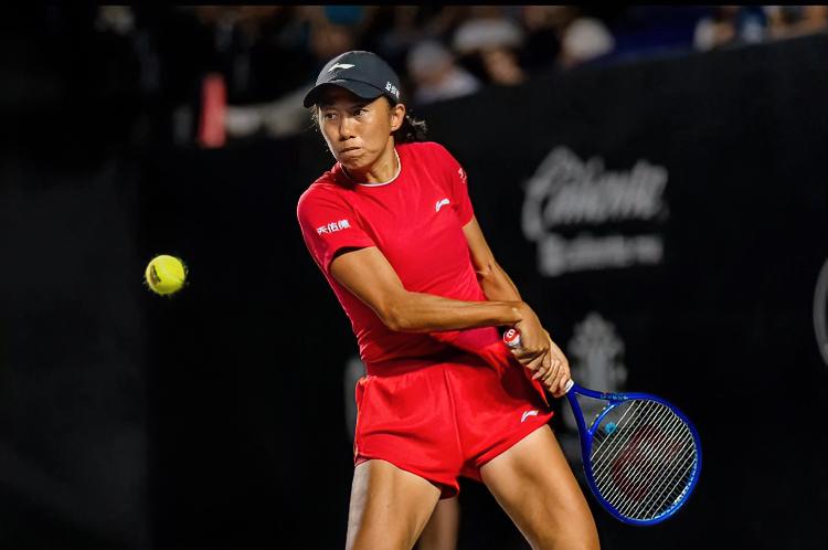 张帅：我啥不知道我要退役了呢？澳网女双刚拿了冠军，我个人认为至少今年内不会退，大