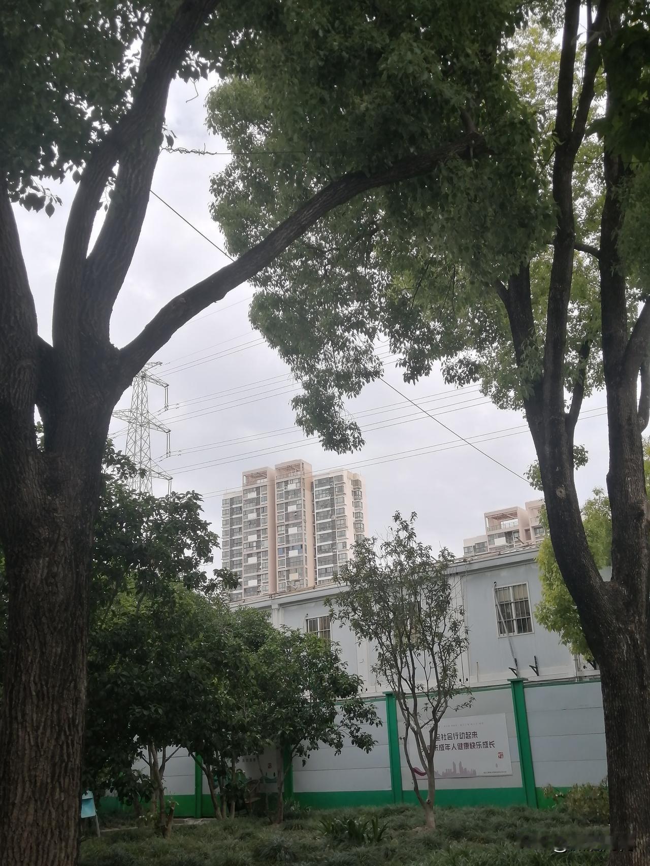 但也有雇主和保姆之间闹了别扭、有了矛盾，大家维护谁呢？
其实有的雇主善良，把保姆