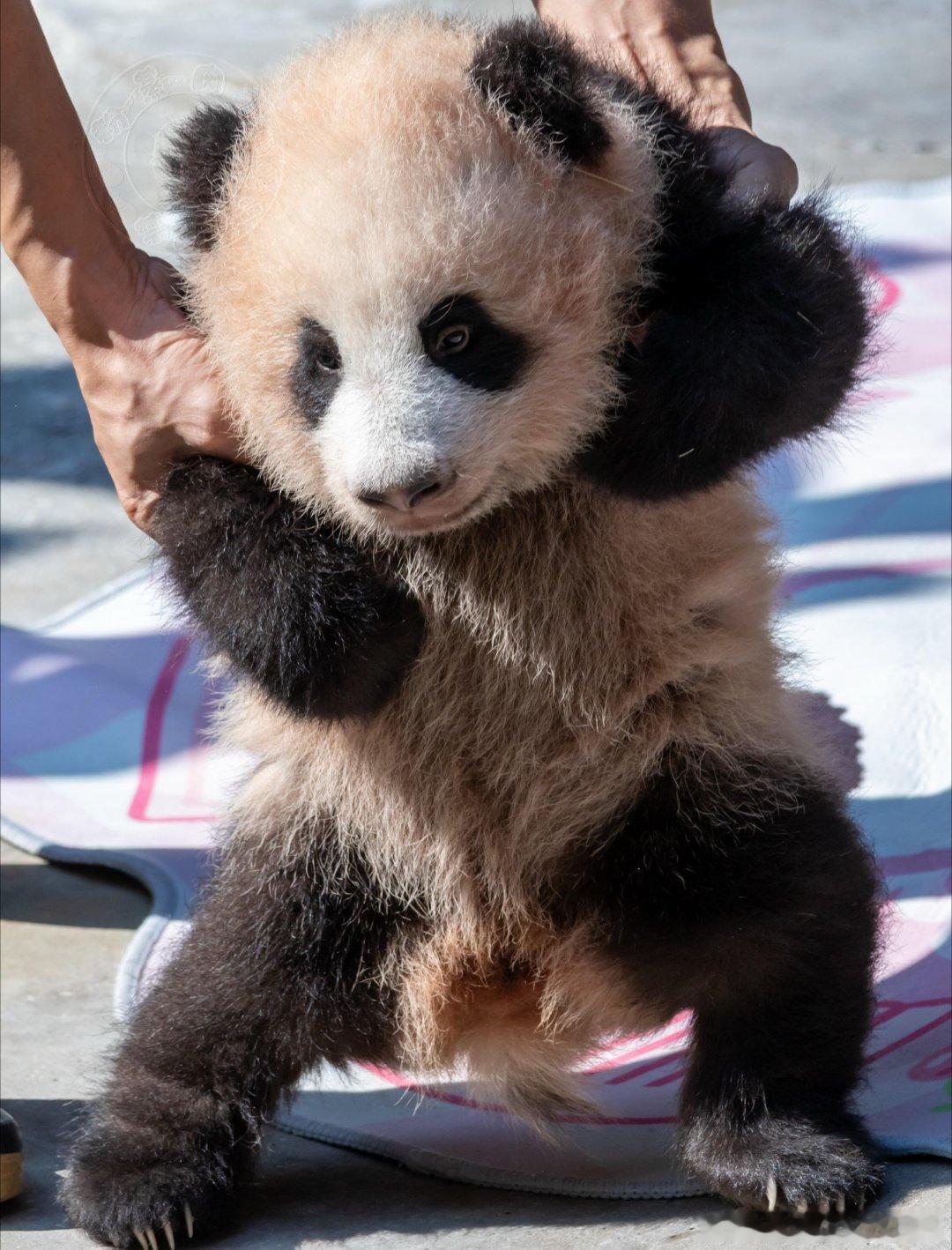 小月亮：我有的是手段和力气，也不打听打听我妈妈是谁我姨是谁我姐是谁 