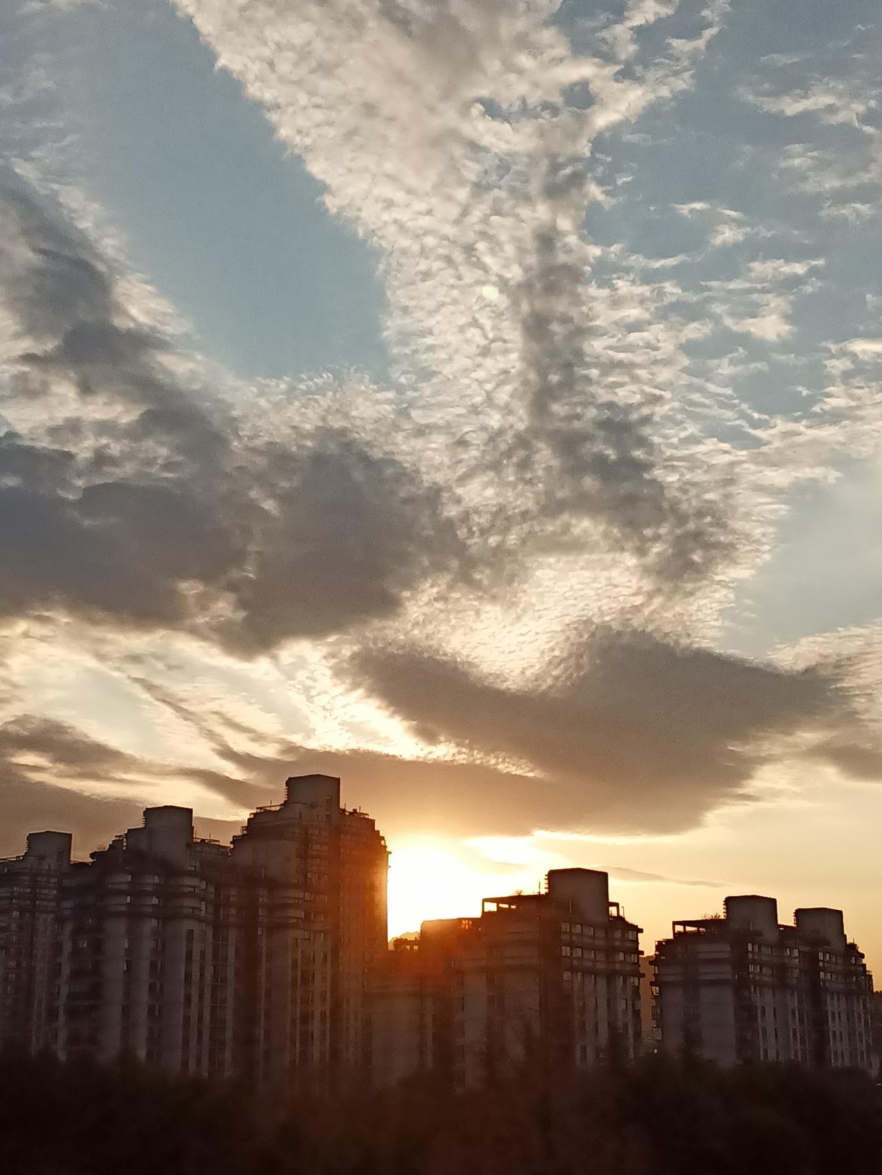 分享一张最近随手拍的照片