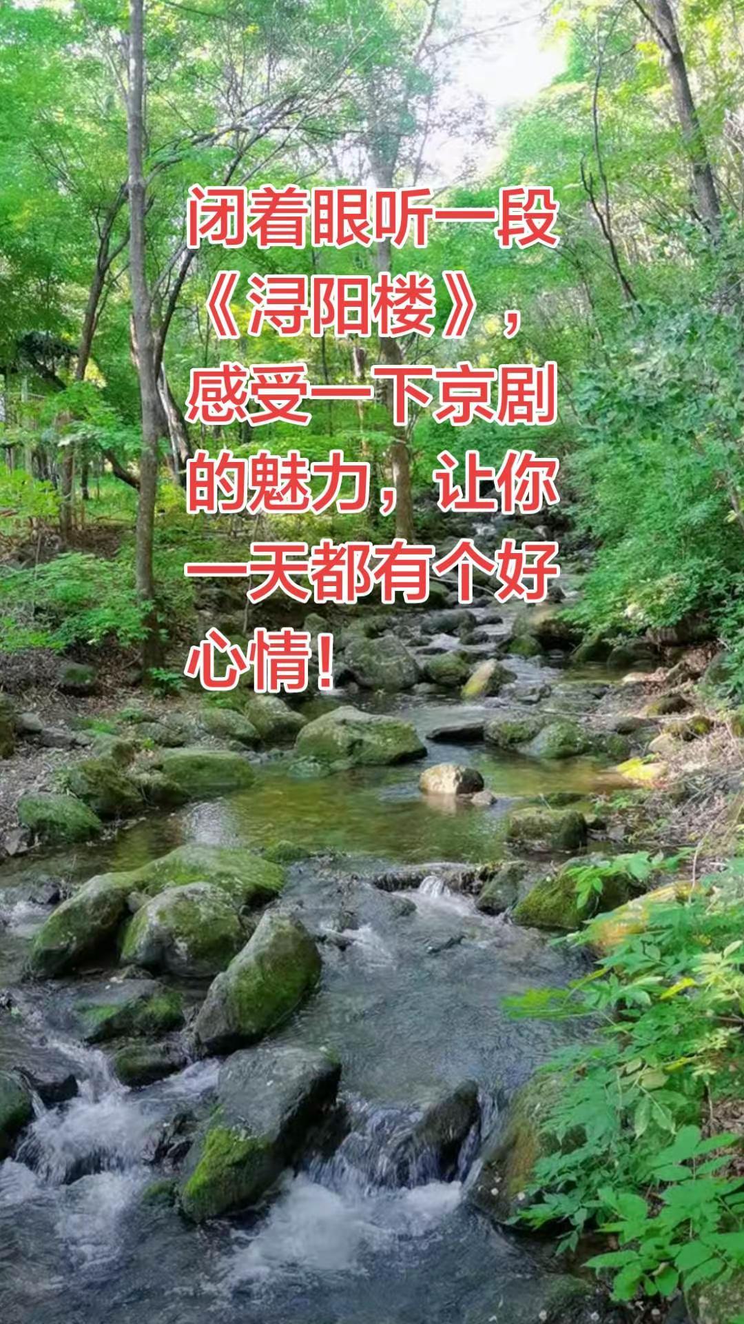 闭着眼听一段《浔阳楼》，感受一下京剧的魅力，让你一天都有个好心情！京剧 京剧名段