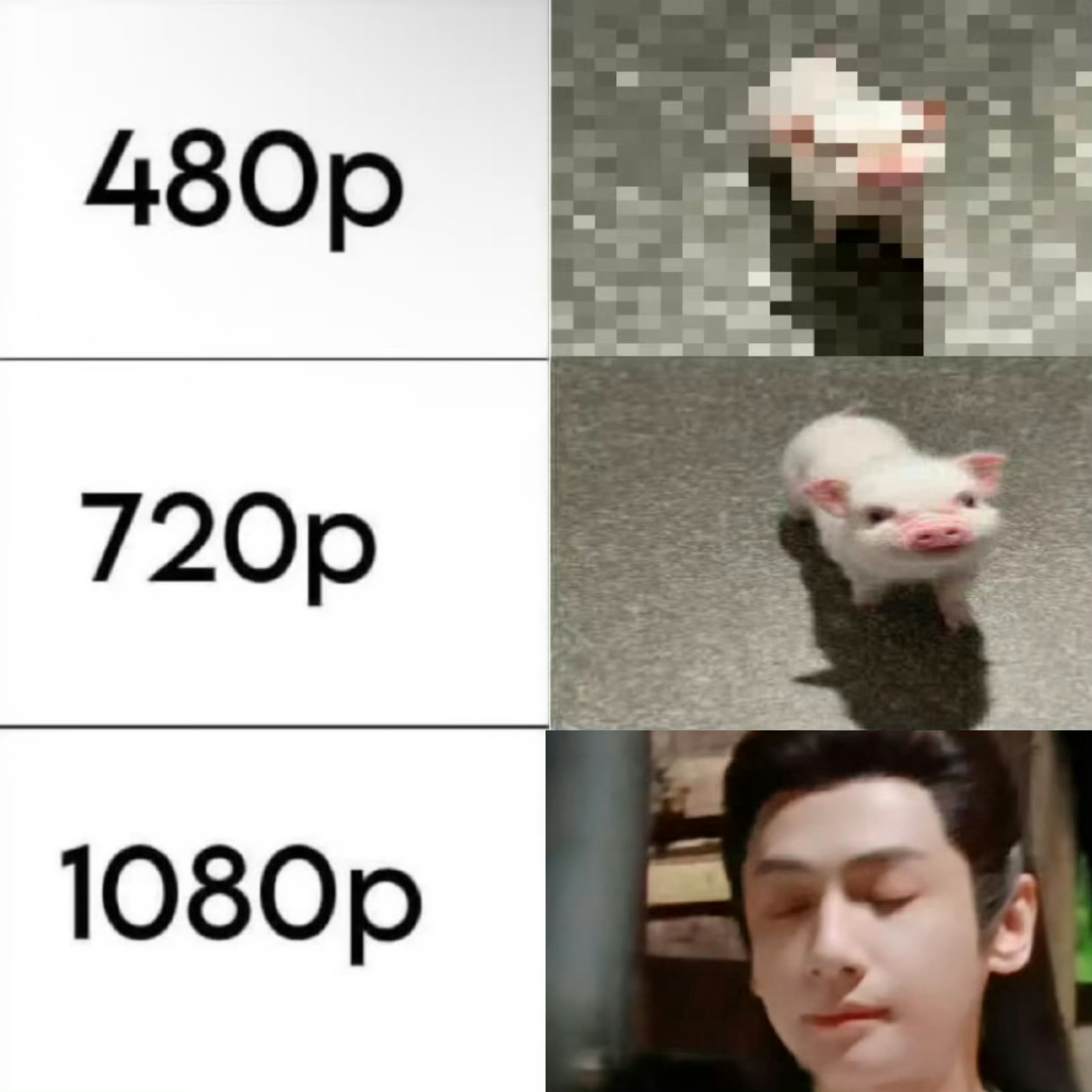 黎斯小猪，嘿嘿嘿，黎斯，嘿嘿嘿，小猪，小猪黎斯，嘿嘿嘿 ​​​