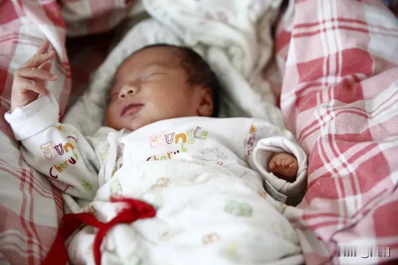 我家的“小棉袄”报到记
 
大年三十早上，我正迷迷糊糊，突然感觉身下一阵温热——