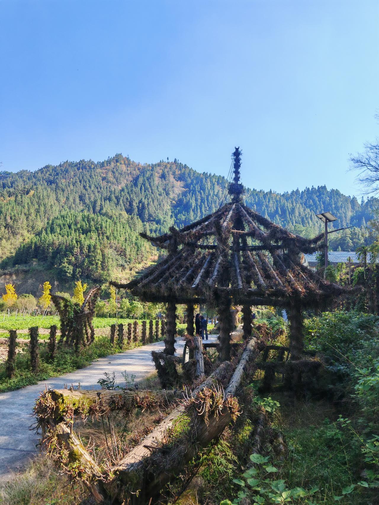 说得太对啦，确实如此！真没必要为了那点小钱就拼命，可不能把自己的身体健康给害了呀