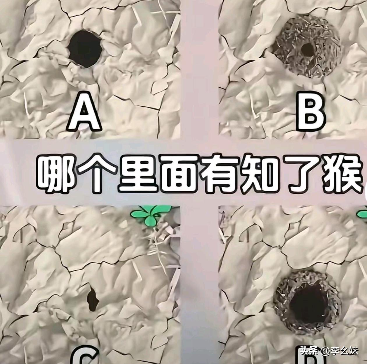 以你抓知了猴的经验你觉得哪一个里面有货