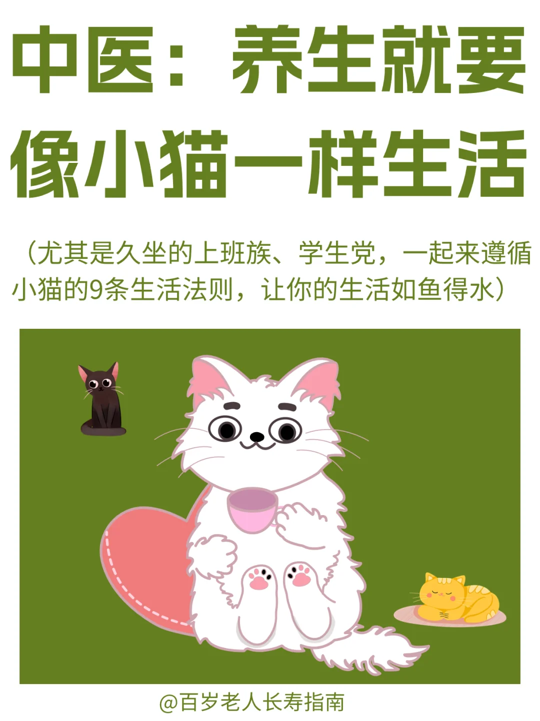 真心建议：养生就要像小猫一样生活