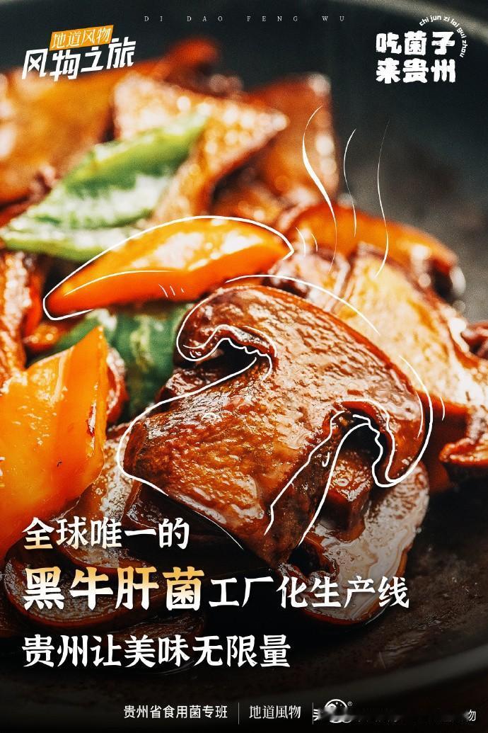 谁能抵挡牛肝菌的诱惑？[舔屏]

云南人宁可冒“见小人”的风险，也要大啖见手青（