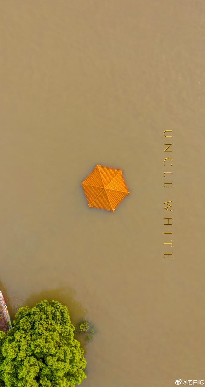 90度垂直看武汉，你能看出几个？（摄影 老白屹）武汉身边事