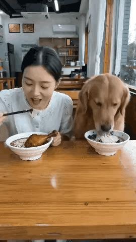 天啦！狗都上桌吃饭了，这怎么可以[捂脸][捂脸][捂脸]狗上桌事件 带狗上餐桌 