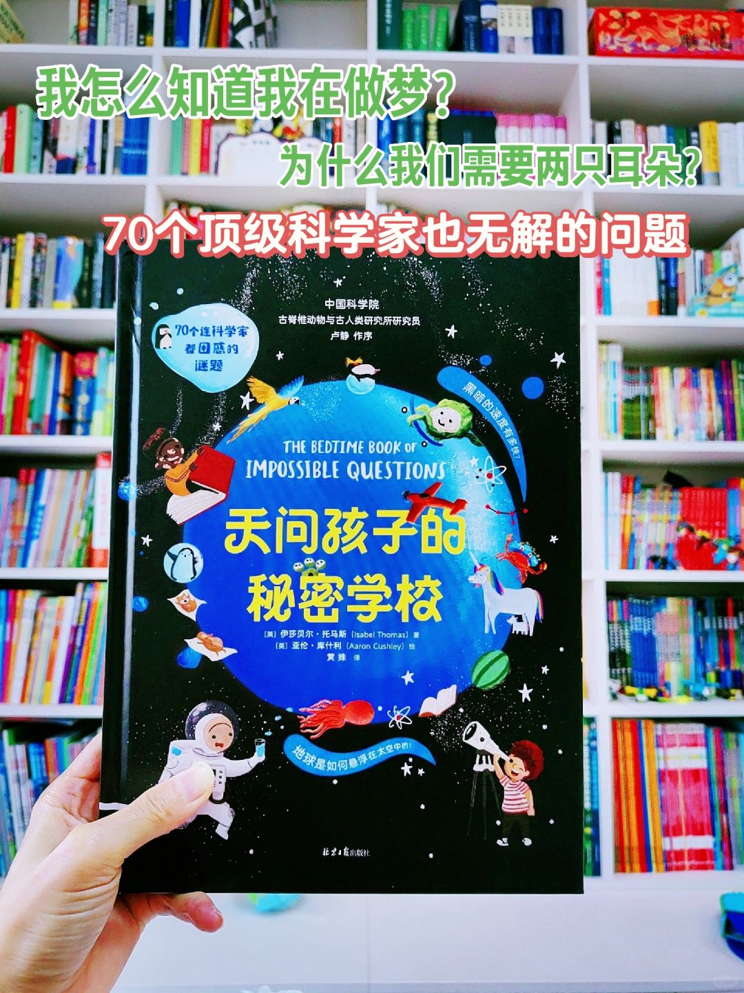 猫是液体的还是固体的？为什么泡泡总是圆的