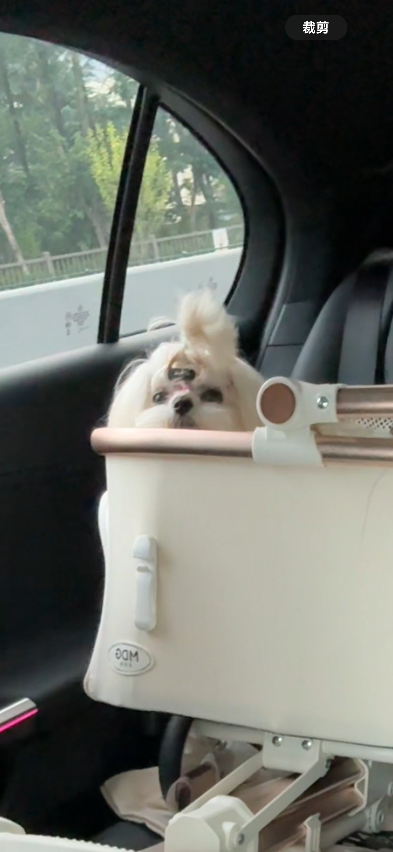 小可爱 ​​​
