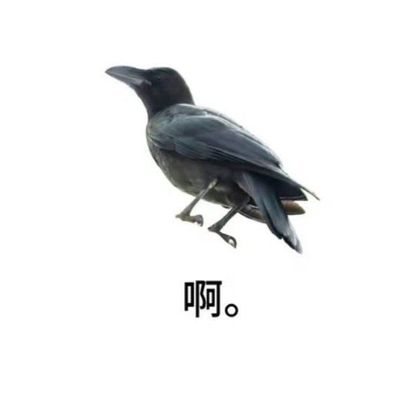 【3010】34 上错花轿嫁对郎我流龟点古风au*是连载 下章正文完结🫰*提问