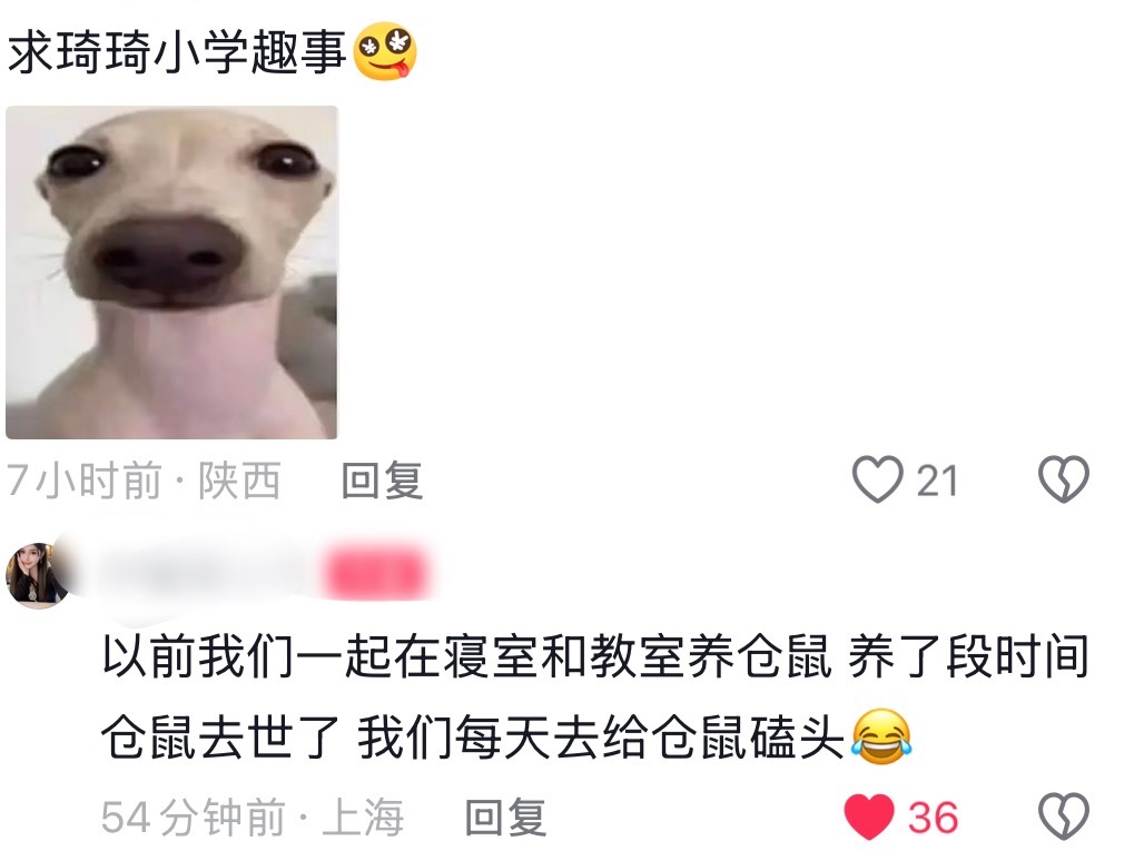 我想起来我以前养的金鱼去世了我都拉着一大群同学一起去给它下葬
