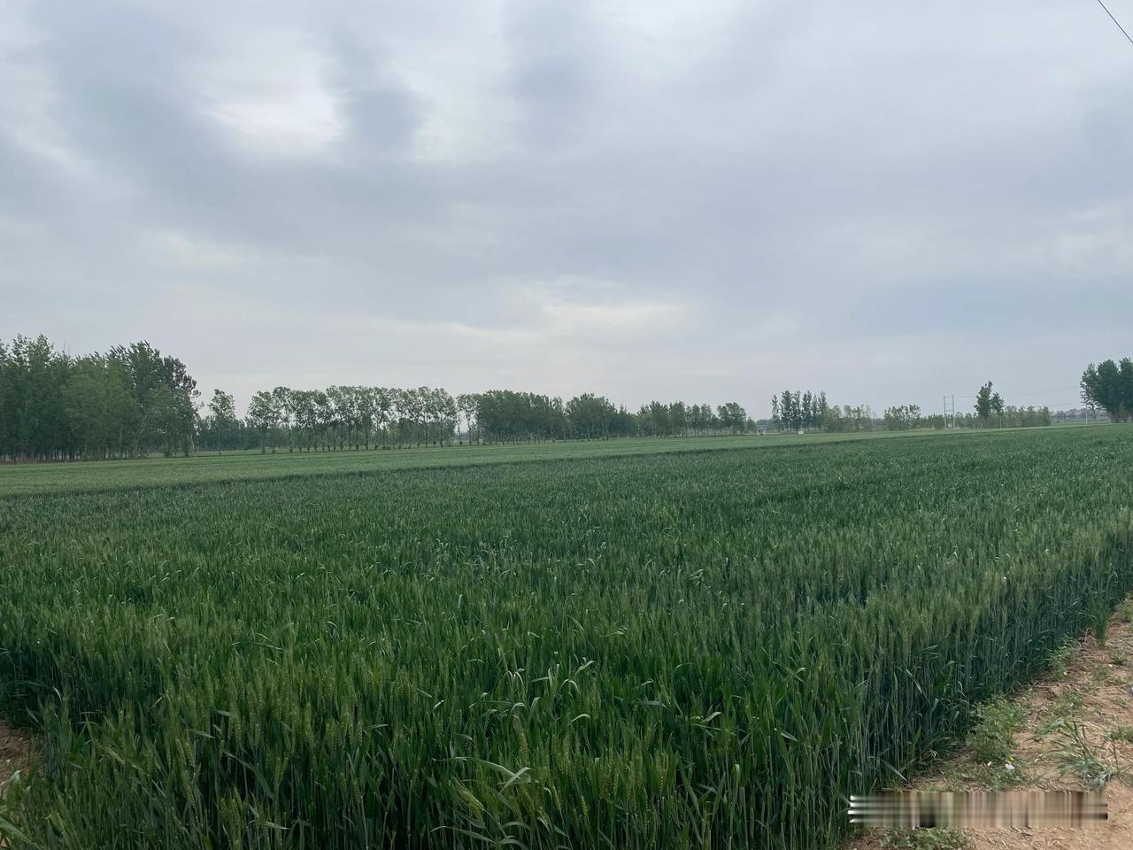 生命的能量来自于宁静。不仅要花时间来强身健体，也要学会静下心来锻炼心灵。静心，心