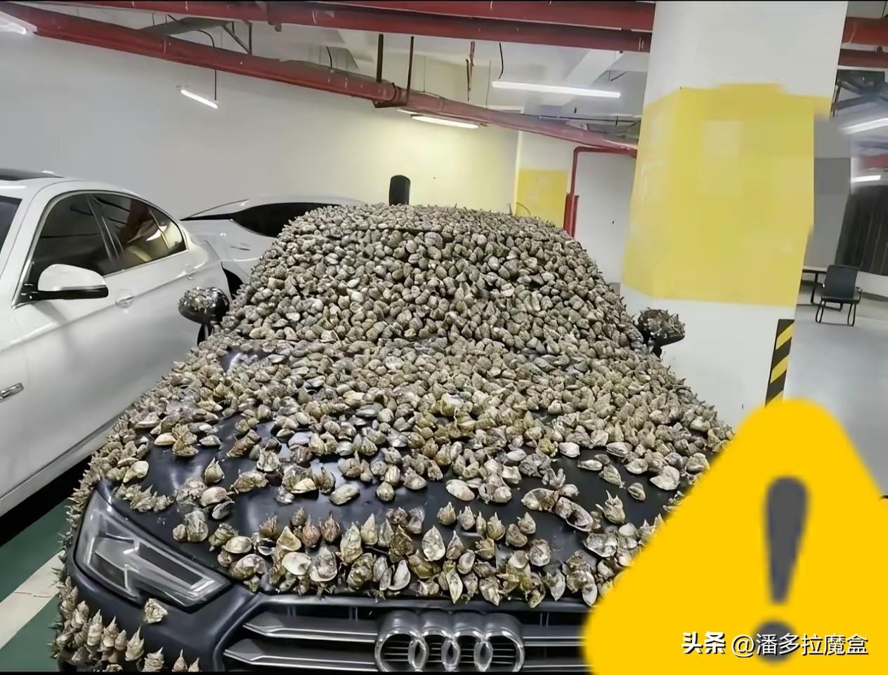 这下咱们可算是长见识了，占别人车位还能喜提“战损版”涂装。

江苏陈先生家车位被