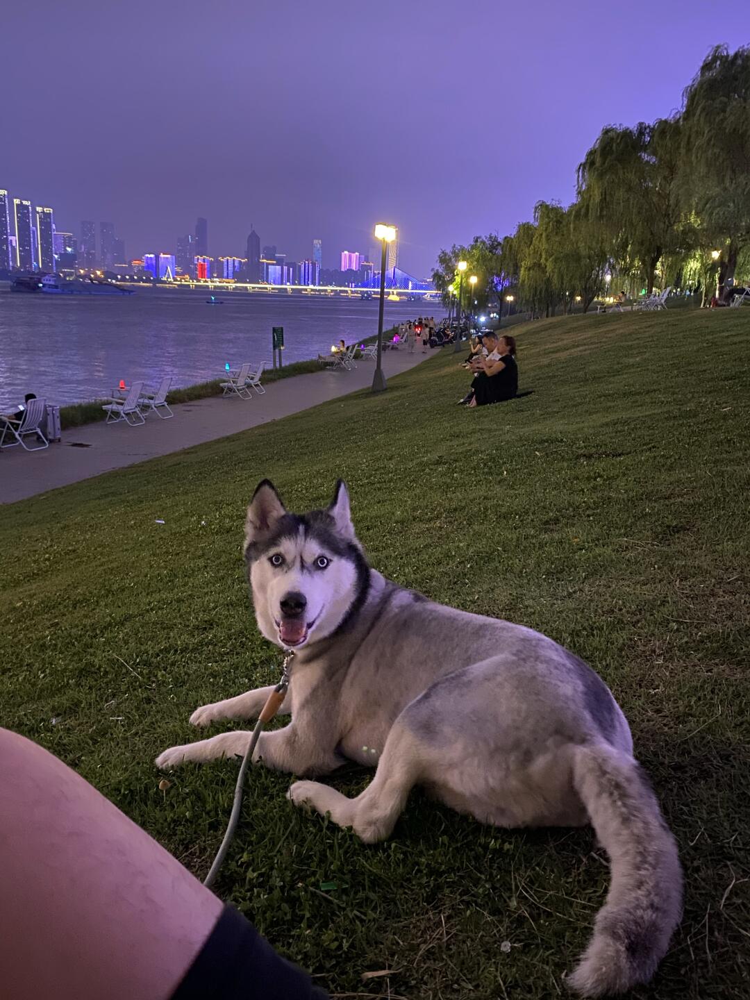小狗陪我看夜景｜长沙看夜景推荐来这