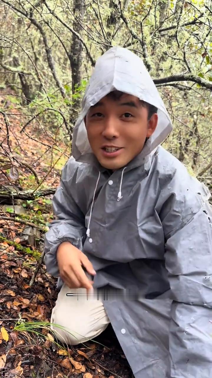 哥哥姐姐们，看刚刚发现的，二零二六年第一朵松茸刺身一定是我先吃上的，简简单单冲一